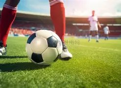 山东华宇工,学院,激发活力,太阳城,太阳城娱乐,太阳城app,太阳城赌场