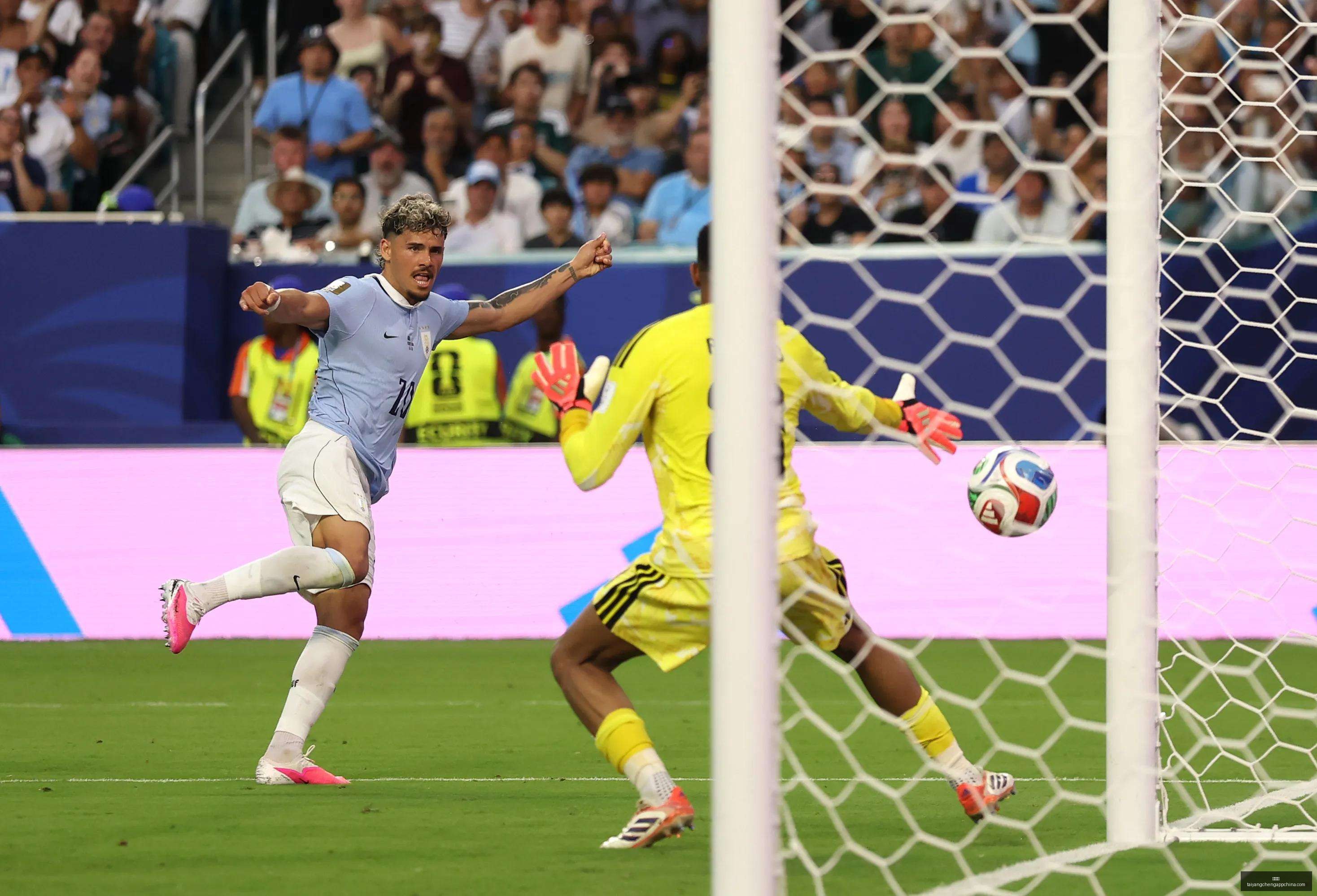 太阳城,太阳城娱乐,太阳城app,太阳城,太阳城娱乐,太阳城app,太阳城赌场